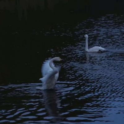 天健棋牌手机app下载