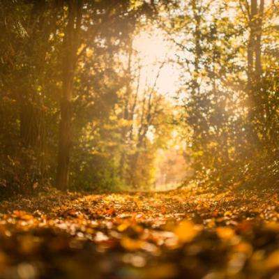 星空线上官网下载手机版截图