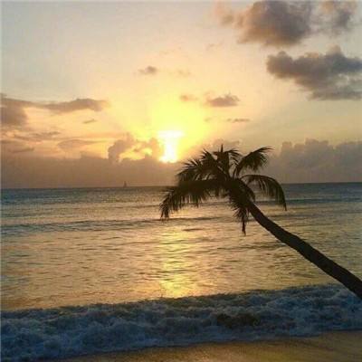 半岛网页版下载手机版截图