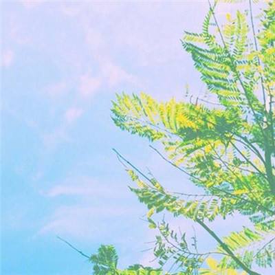 澳门天天免费资料大全下载app下载