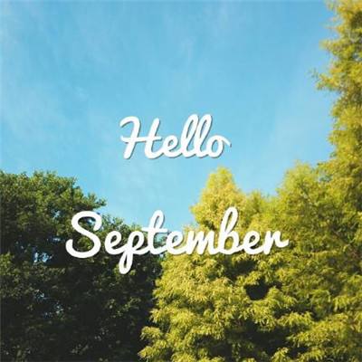 2023年香港资料精准手机app下载