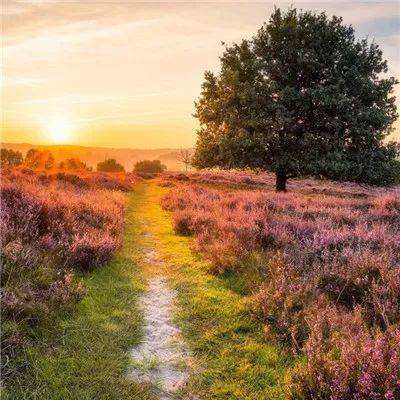 乐发app下载安装官网