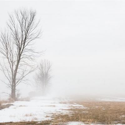 金年会app下载入口截图