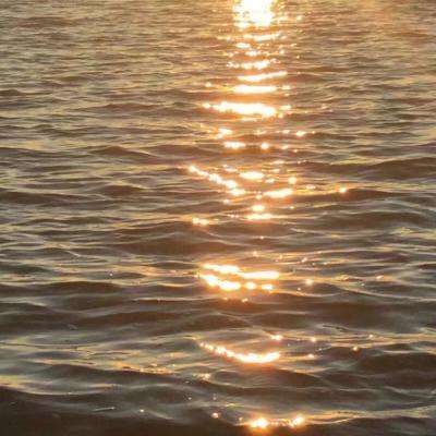 赛博体育下载手机版